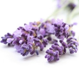 Smaakcombinaties - Flavor Matchmaking - Kokswereld