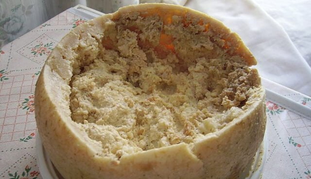 Casu marzu kaas