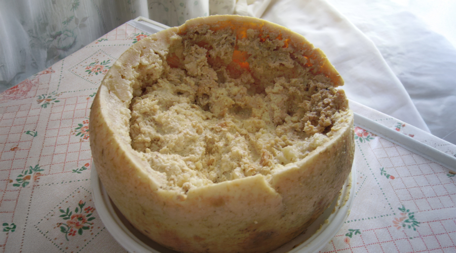 Casu marzu beweeglijk kaasje