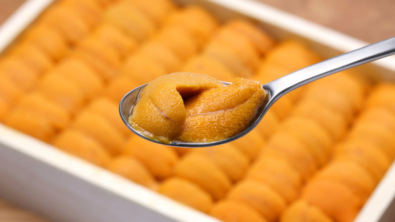 'Zee-egel moet zo vers zijn dat deze nog leeft'