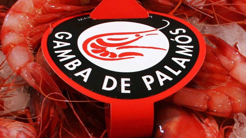 Palamos garnaal