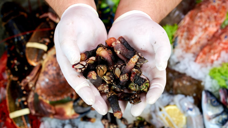 Percebes op de vismarkt van Coruña