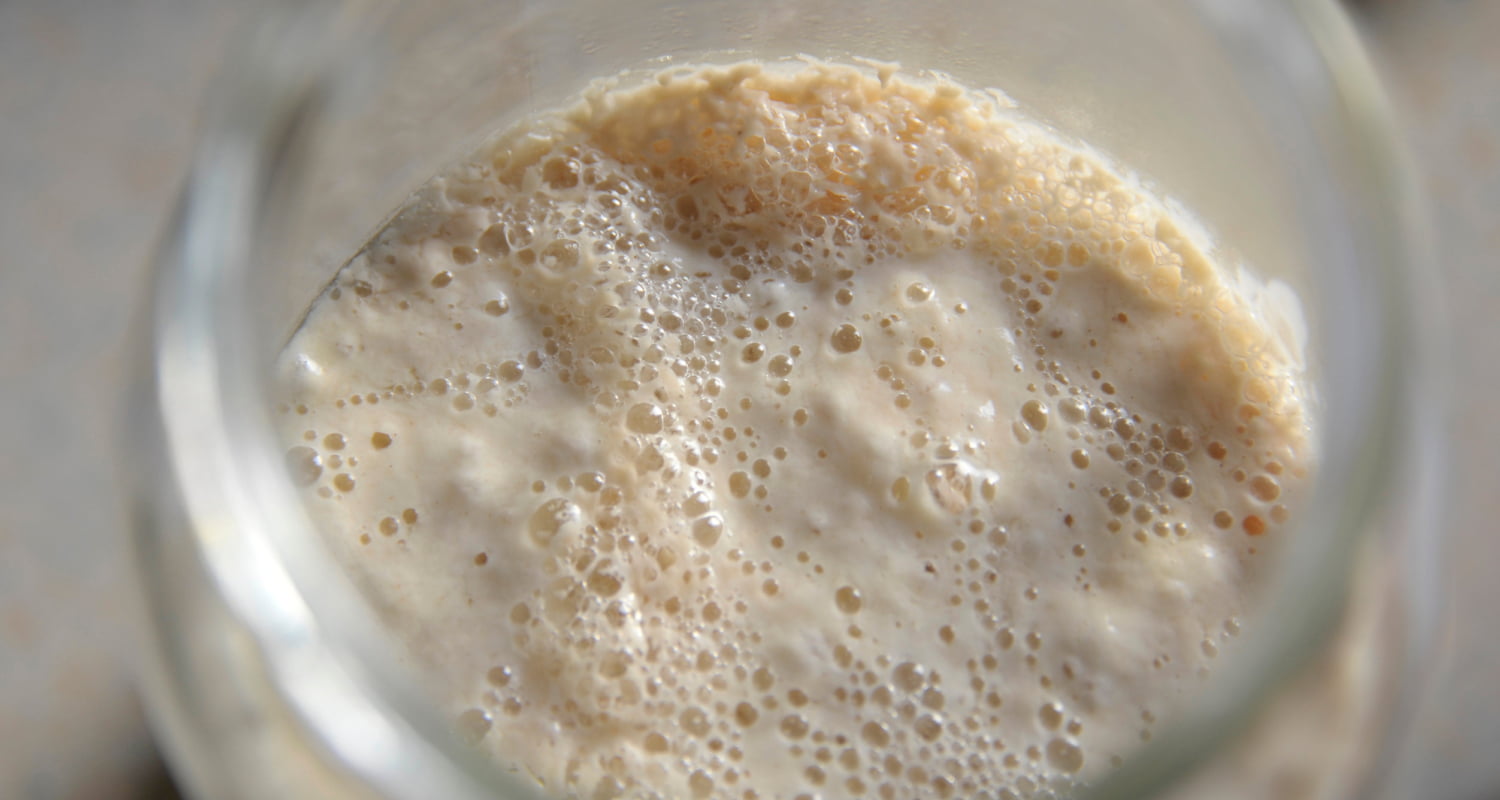Starter voor zuurdesembrood