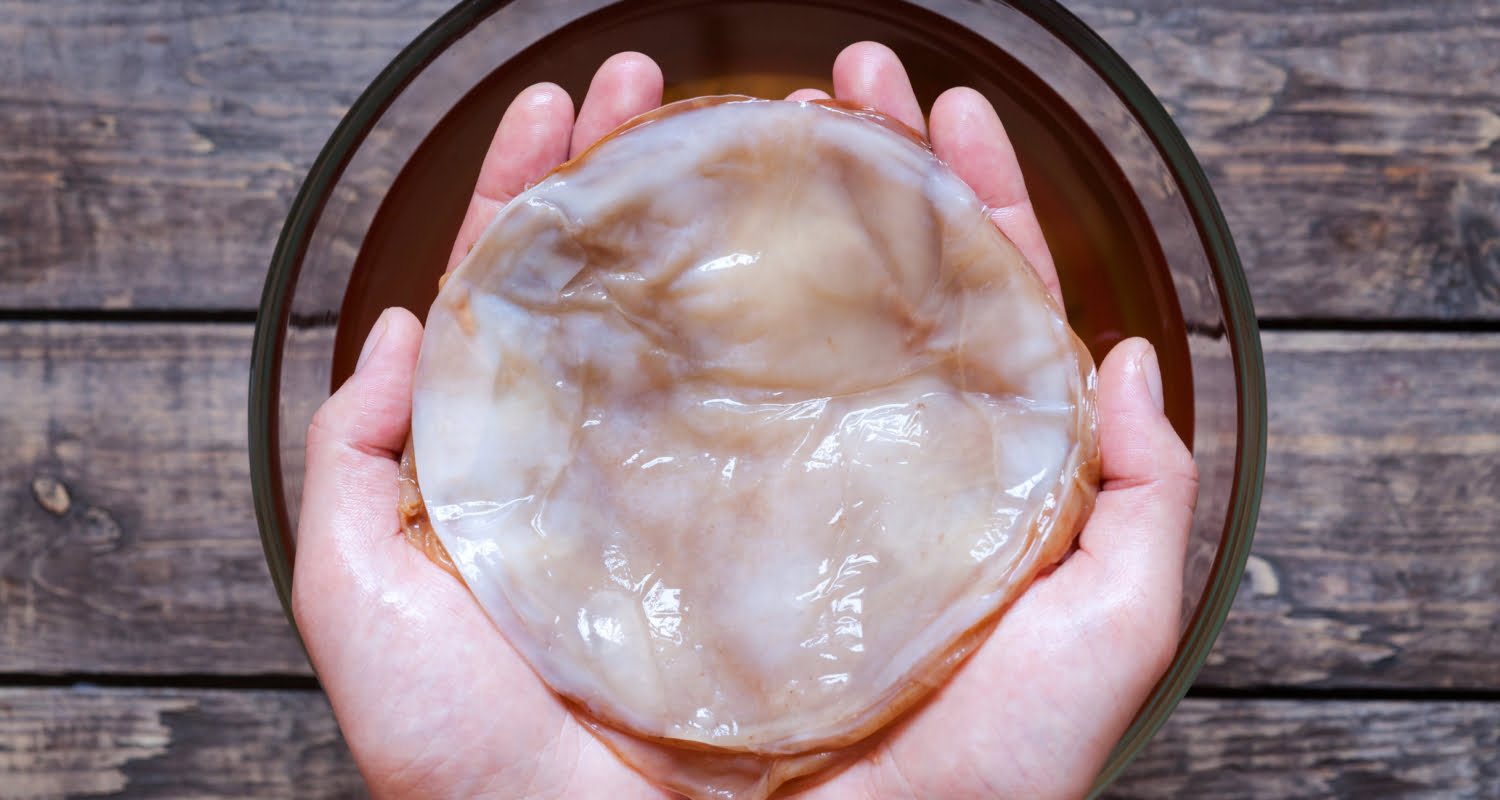 Kombuchazwam of scoby