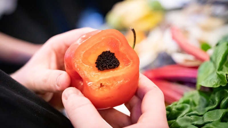 Groente gastles toptalenten Sterklas Amsterdam