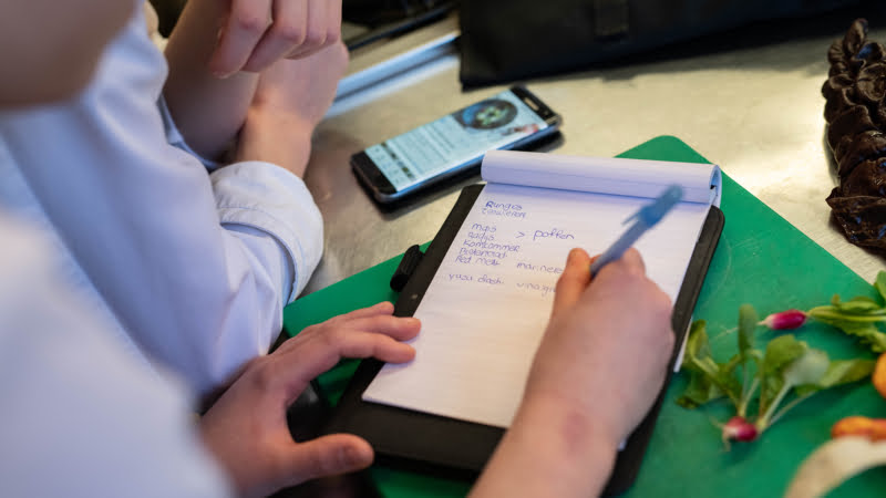 Groente gastles toptalenten Sterklas Amsterdam