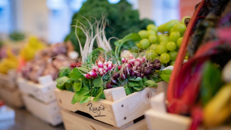 Groente gastles toptalenten Sterklas Amsterdam