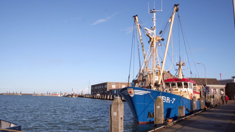 Garnalenkotter in de haven van Breskens