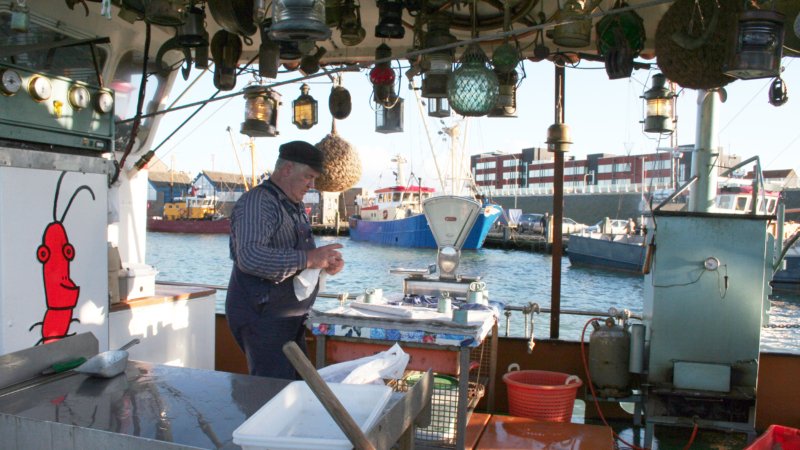 Hollandse garnalen bereisd en bepoederd