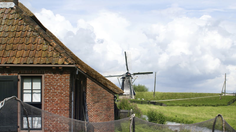 Hollandse paling schaarse delicatesse van ver
