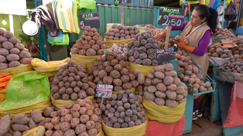 Kleurrijke oer-aardappelen op de markt in Peru