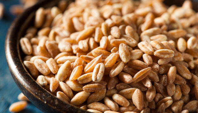 oergranen farro en teff