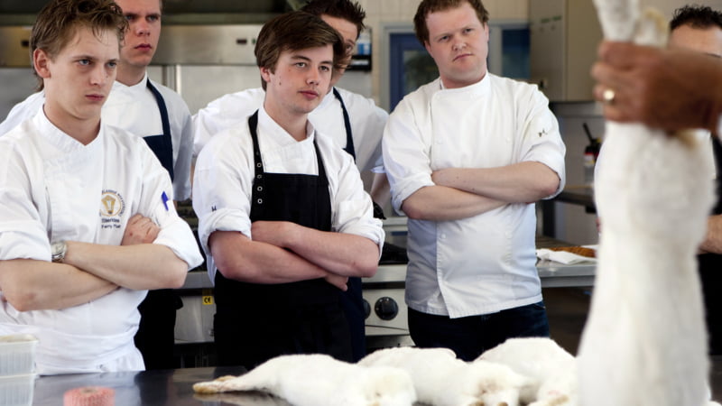 Les aan de Sterklas over tam konijn