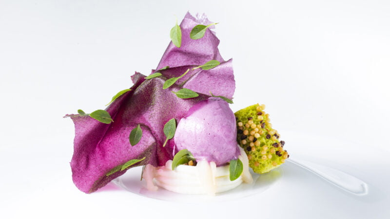 Gerecht 'red cabbage, cencur en pistou' bij Spectrum in Amsterdam van chef Sidney Schutte