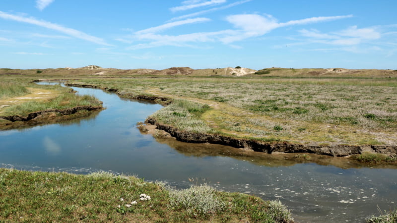 Het Zwin is een strandvlakte tussen Cadzand en Knokke