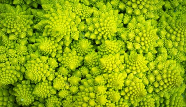 Culinaire vertalingen van en naar vier talen | Kokswereld