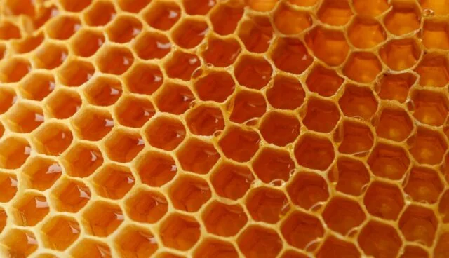 Culinaire vertalingen van en naar vier talen | Kokswereld